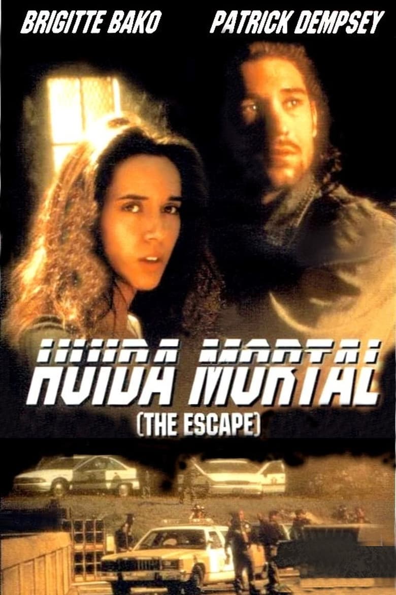 Poster of The Escape