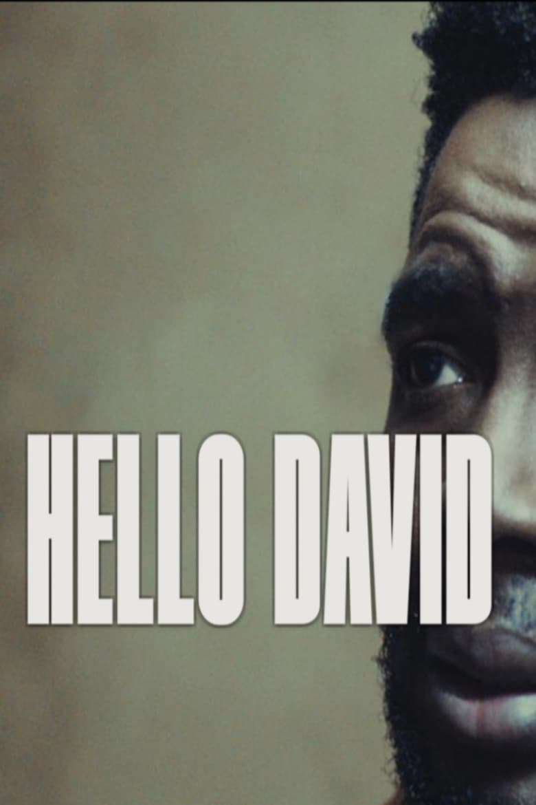 Poster of Hello David