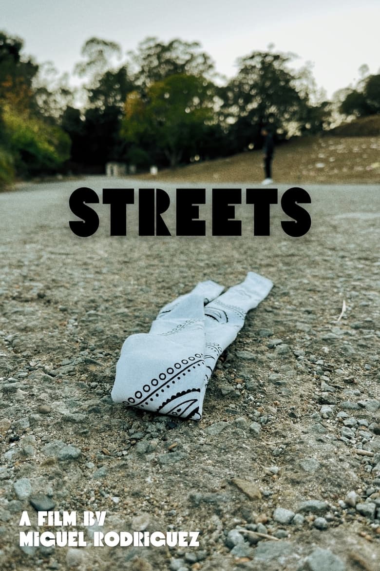 Poster of Streets