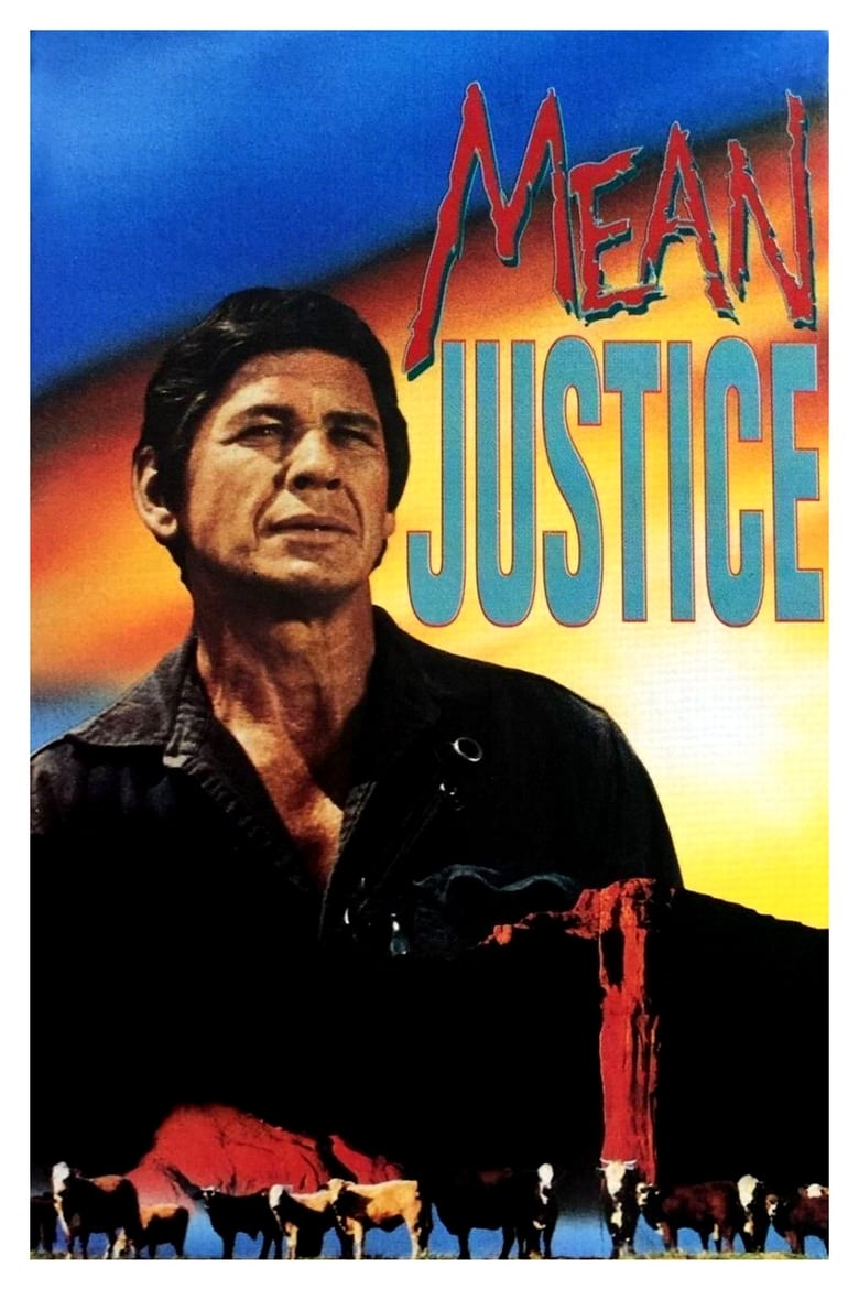 Poster of Mean Justice