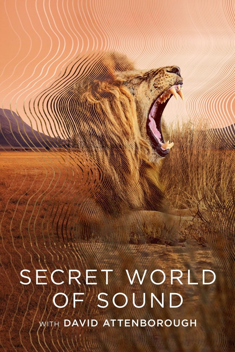 Poster of Secret World of Sound