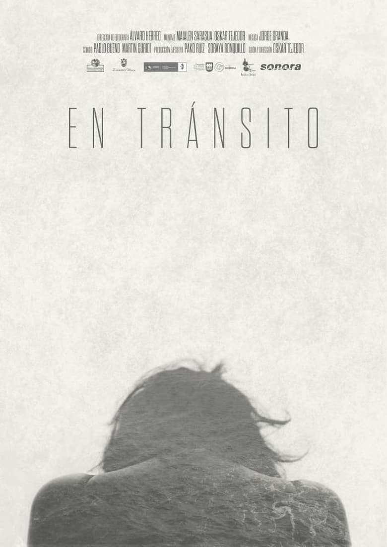 Poster of En tránsito