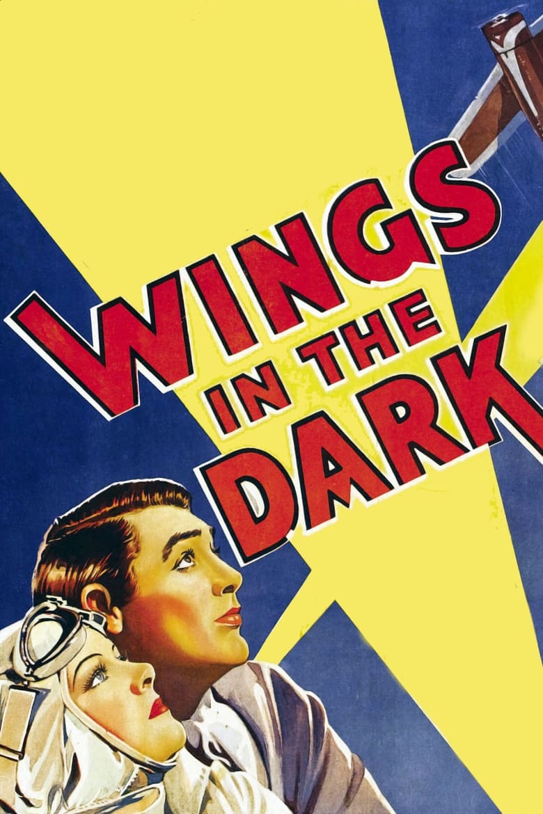 Poster of Wings in the Dark