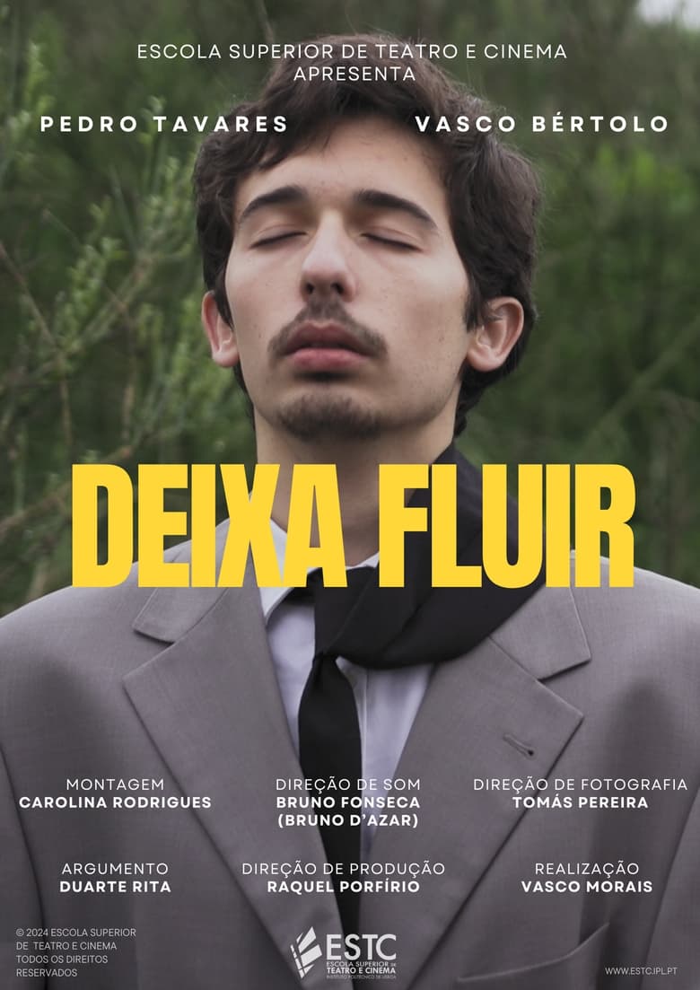 Poster of Deixa Fluir