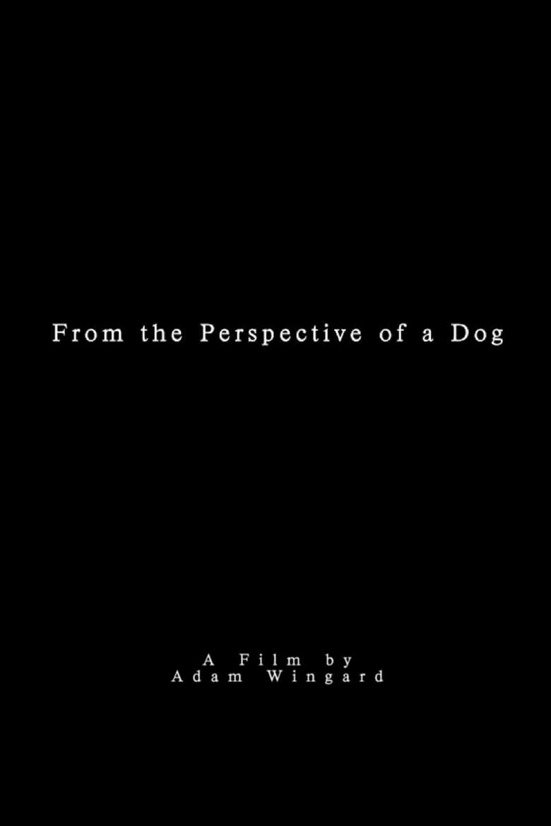 Poster of From the Perspective of a Dog