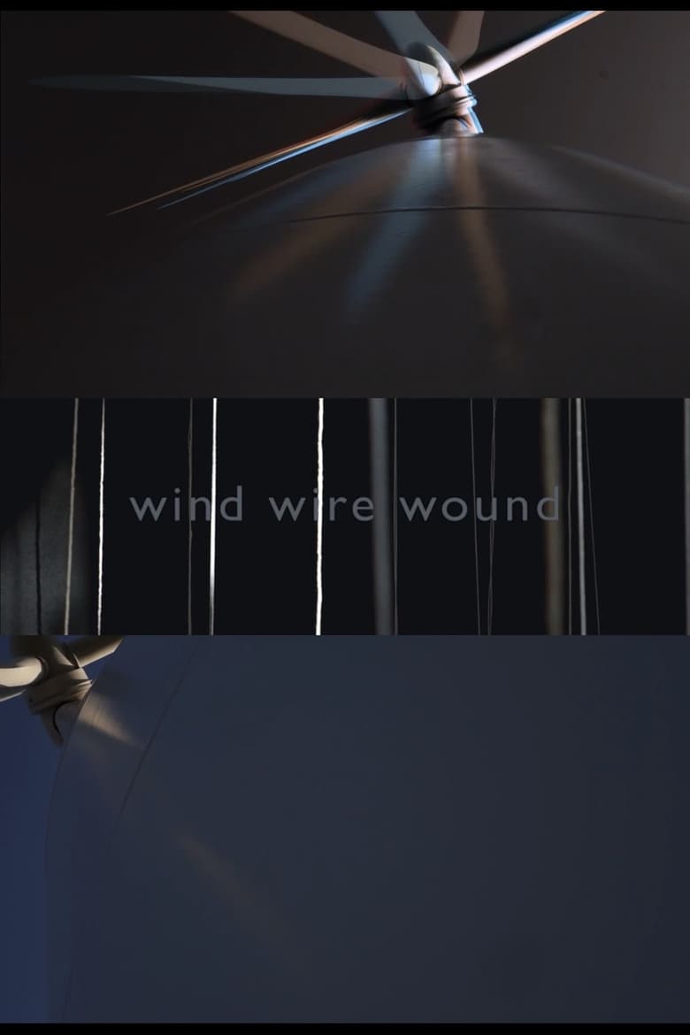 Poster of WIND WIRE WOUND