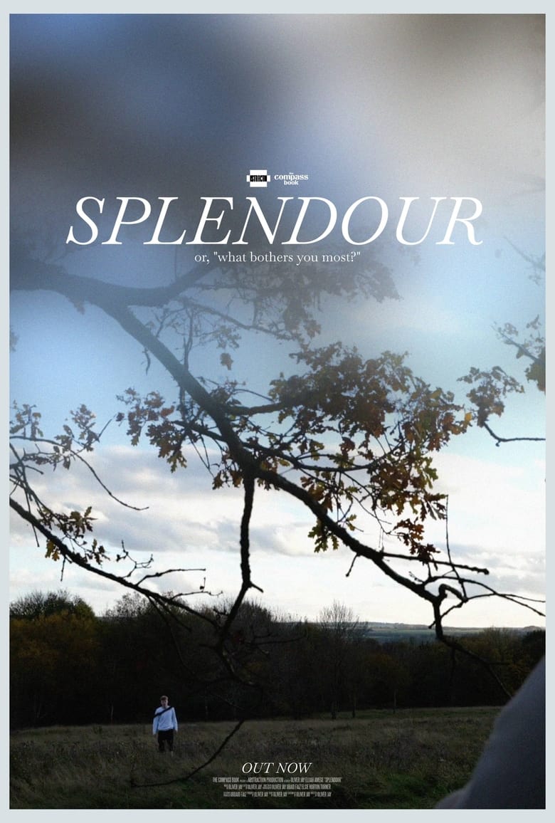 Poster of Splendour