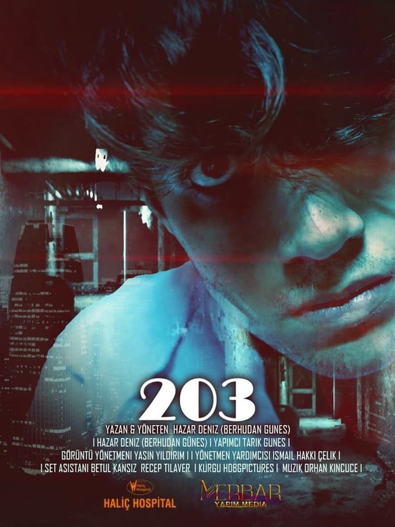 Poster of 203: ROOM