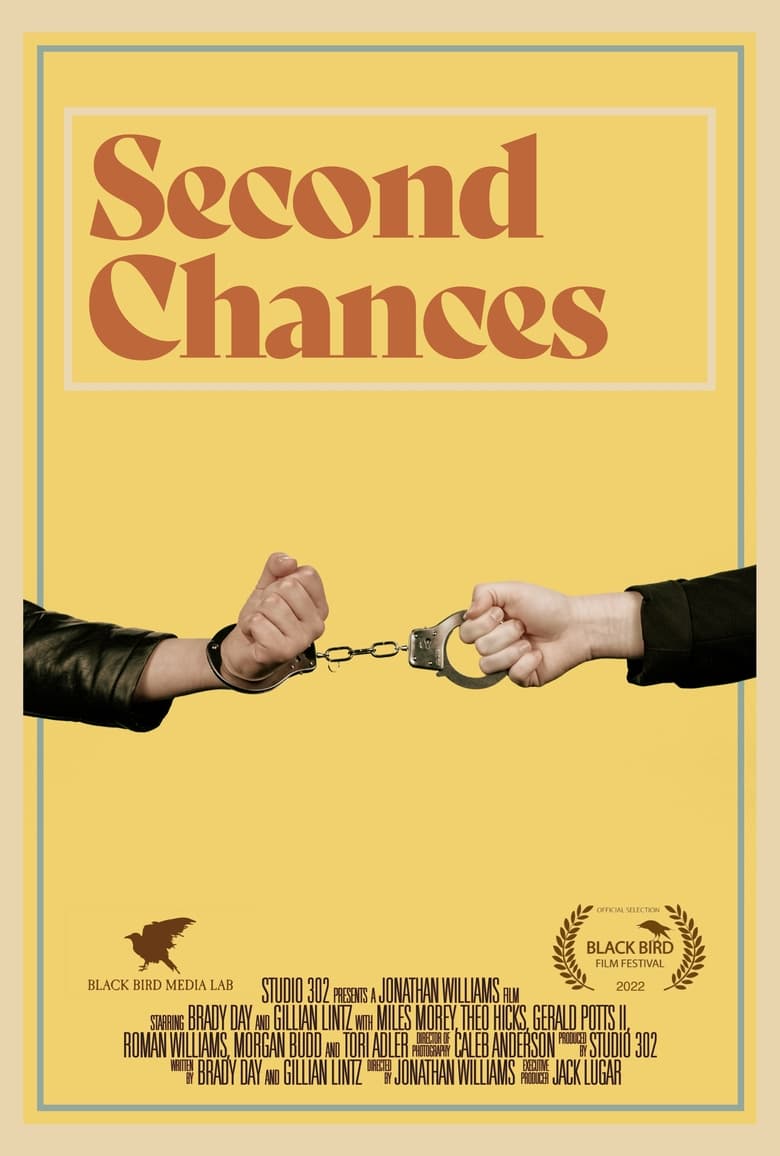 Poster of Second Chances