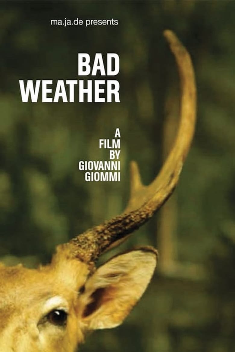 Poster of Bad Weather