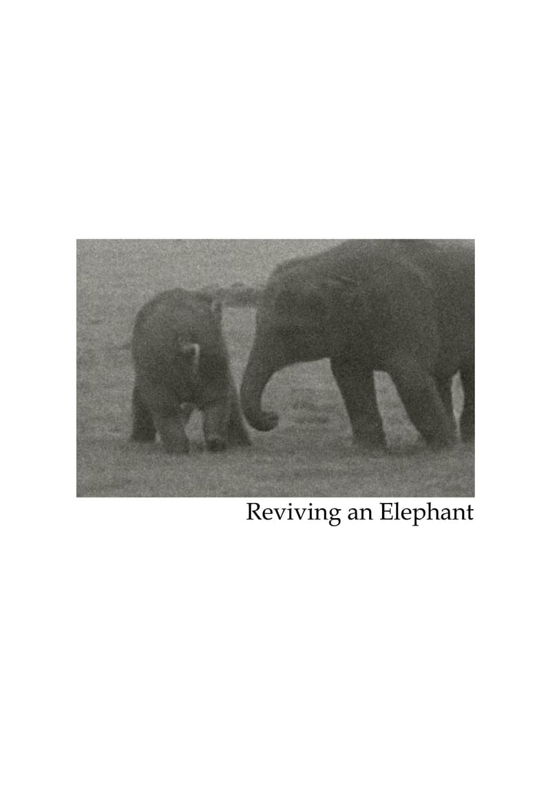 Poster of Reviving an Elephant