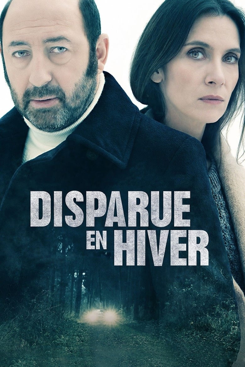 Poster of Disappeared in Winter