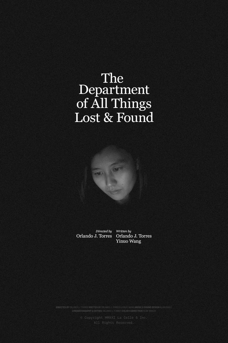 Poster of The Department of All Things Lost & Found