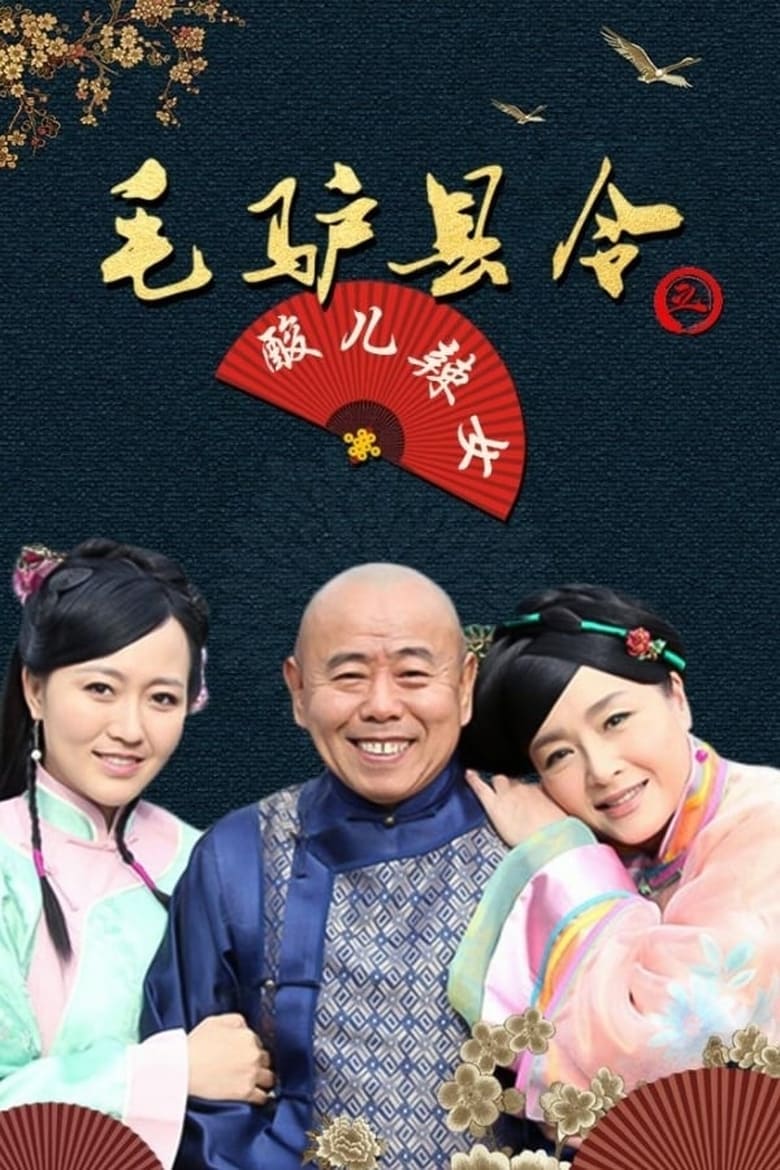 Poster of 毛驴县令之酸儿辣女