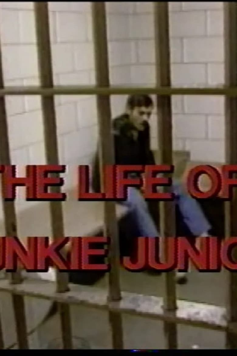 Poster of The Story of Junkie Junior