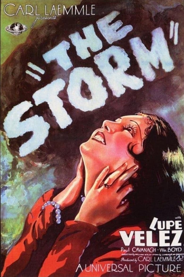 Poster of The Storm