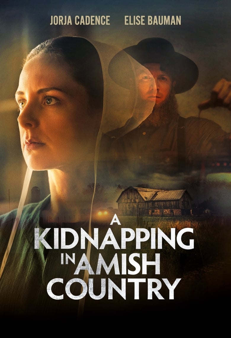 Poster of A Kidnapping In Amish Country