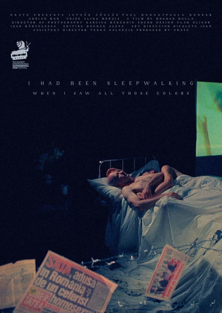 Poster of I Had Been Sleepwalking When I Saw All Those Colors