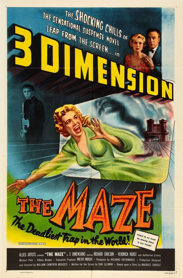 Poster of The Maze