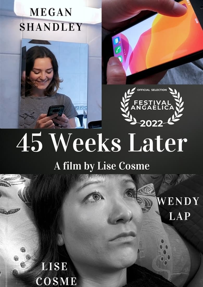 Poster of 45 Weeks Later