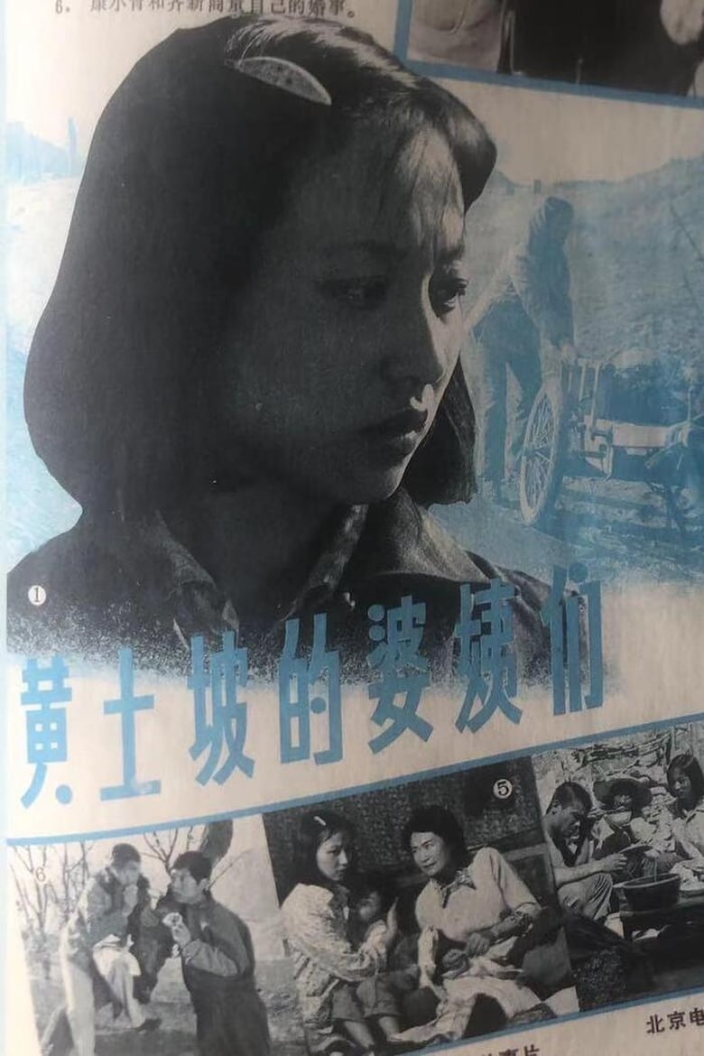 Poster of The Women of Huangtupo Village