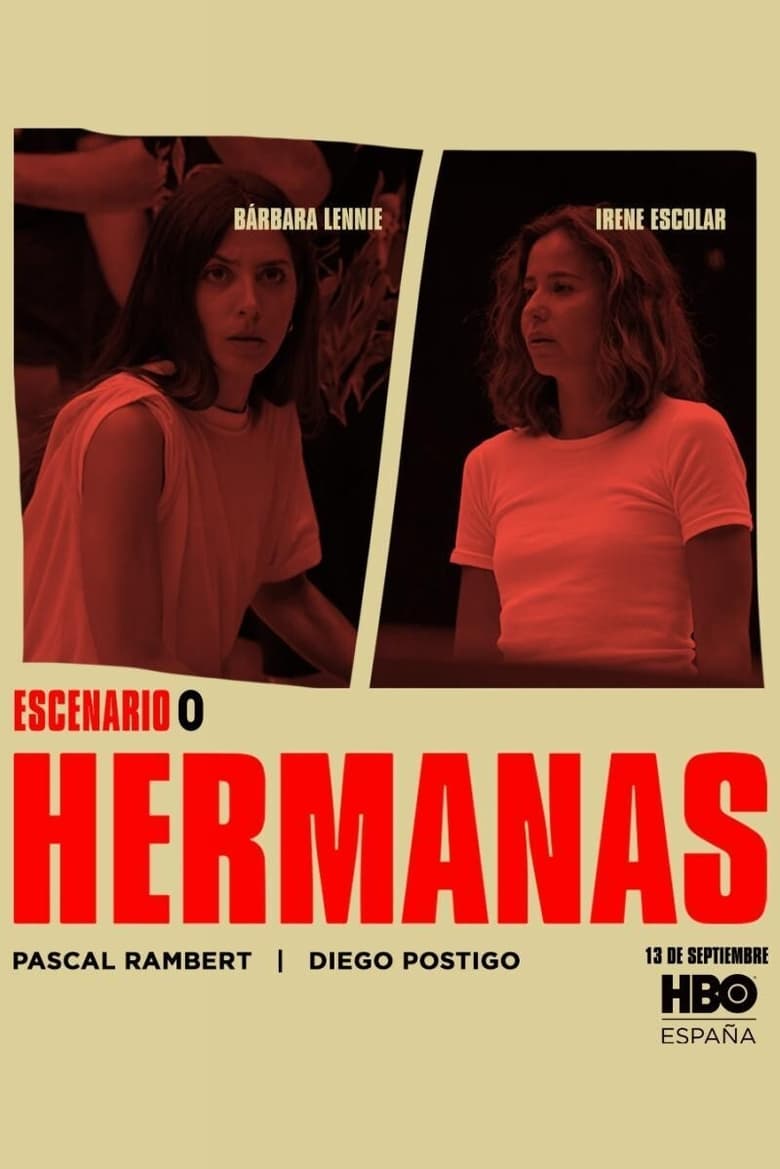 Poster of Hermanas