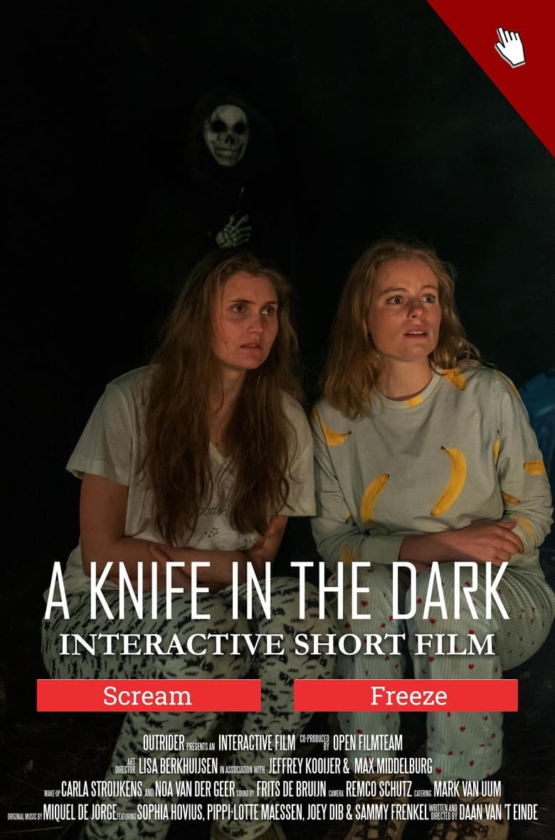 Poster of A Knife in the Dark