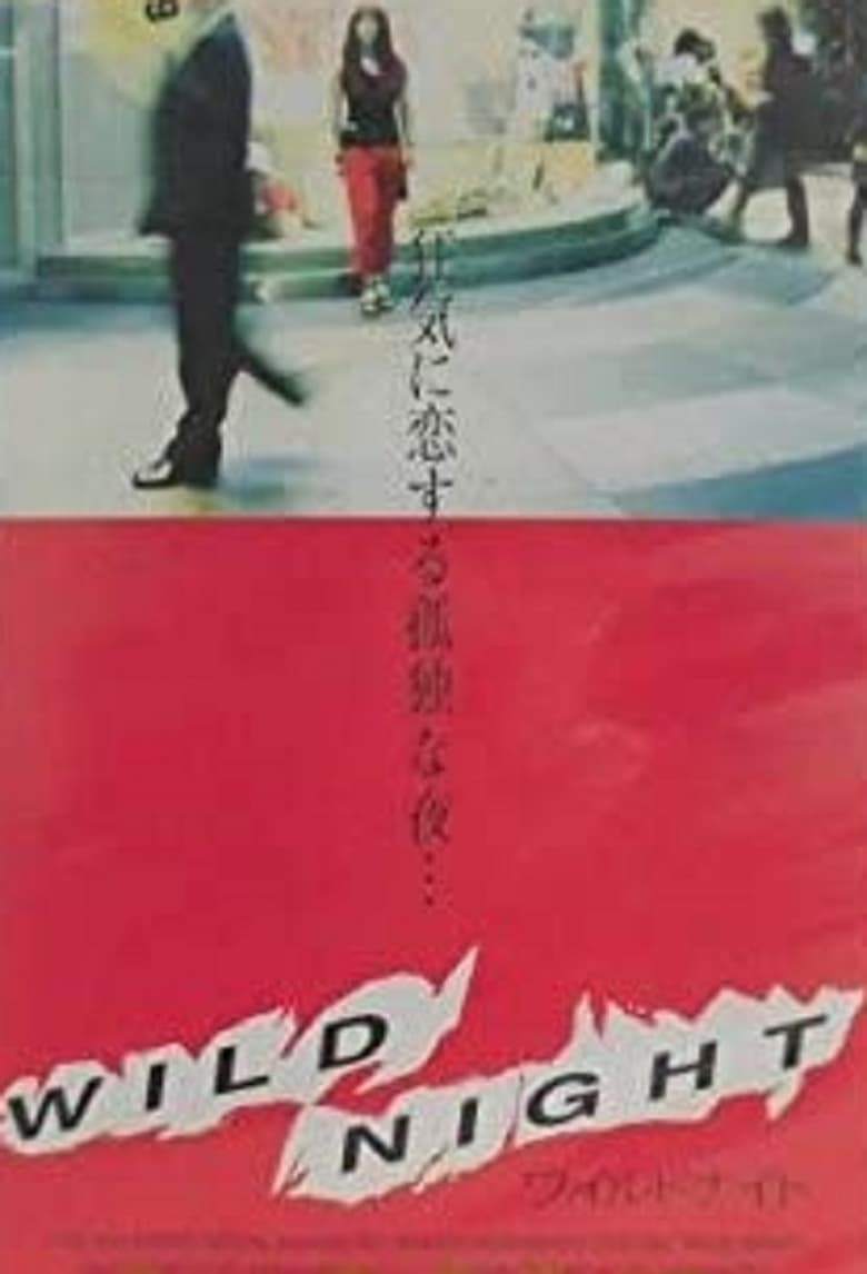 Poster of Wild Night