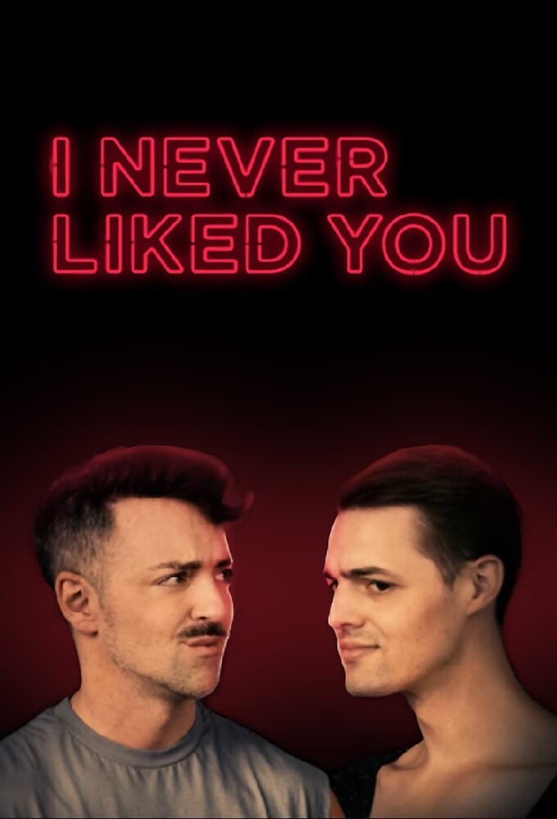 Poster of I Never Liked You