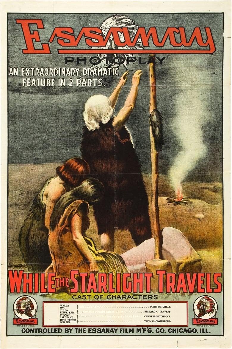 Poster of While the Starlight Travels