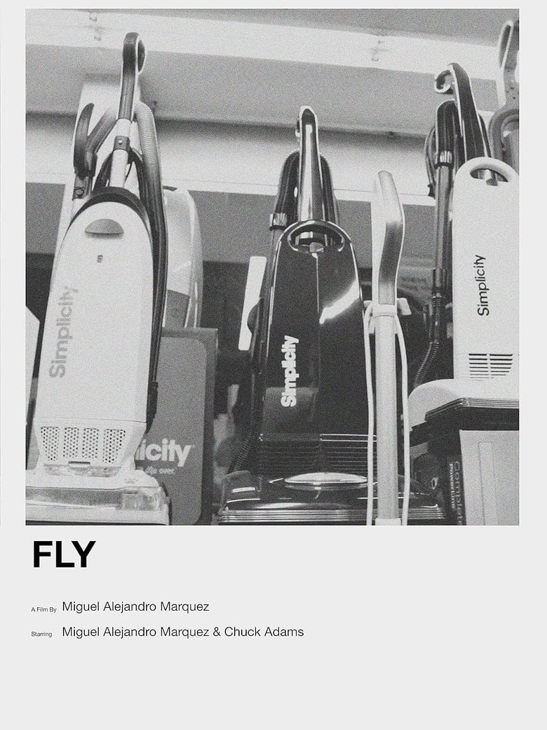 Poster of Fly