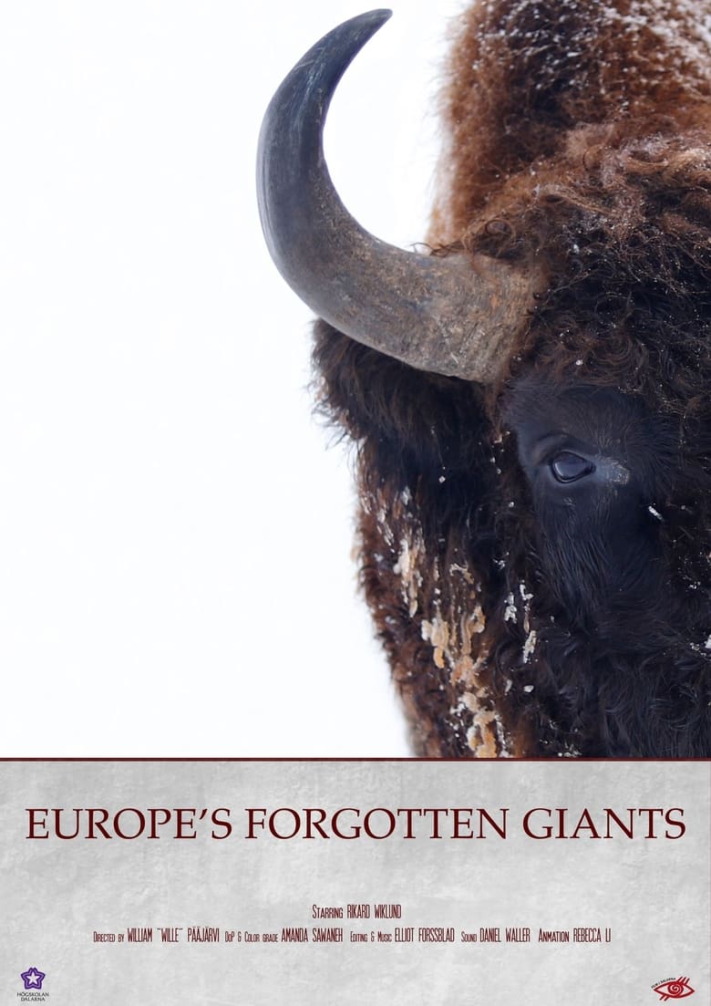 Poster of Europe´s Forgotten Giants