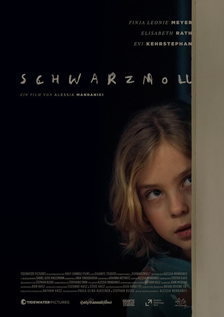 Poster of Schwarzmoll