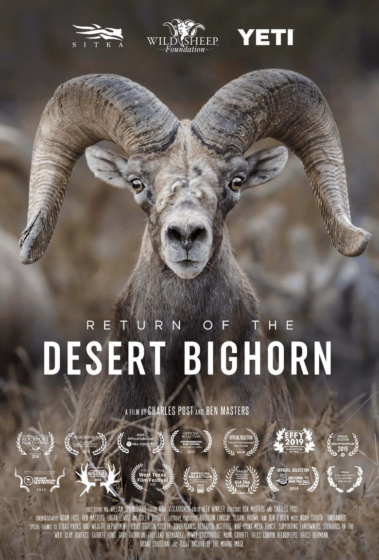 Poster of Return of the Desert Bighorn