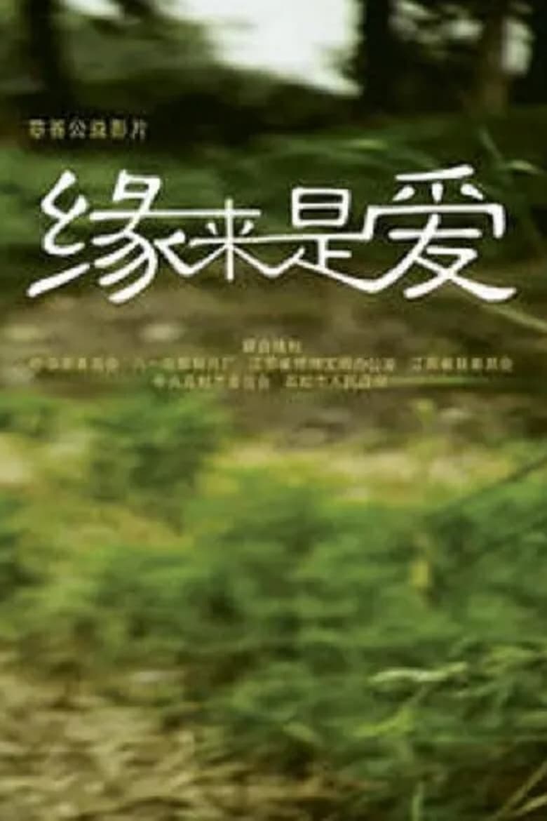 Poster of 缘来是爱