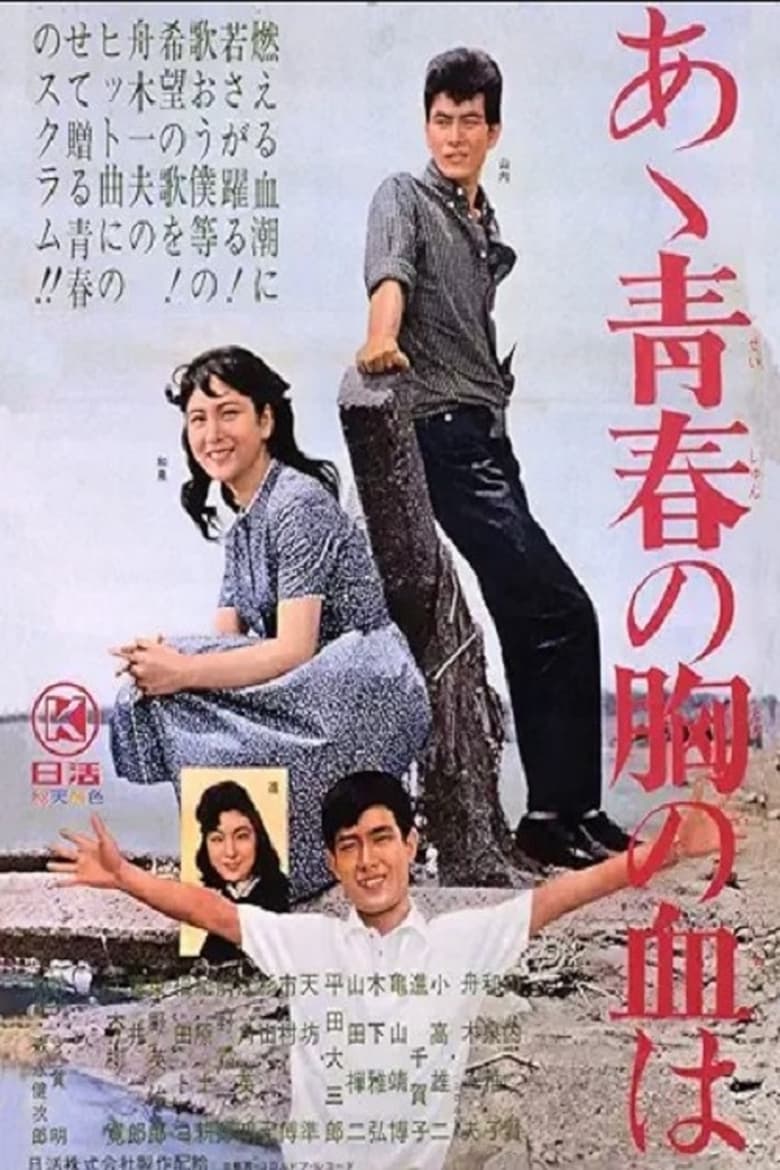 Poster of あゝ青春の胸の血は