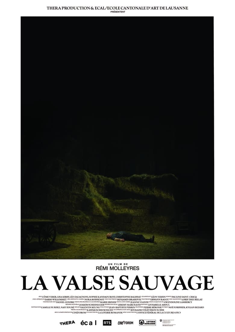 Poster of La Valse sauvage