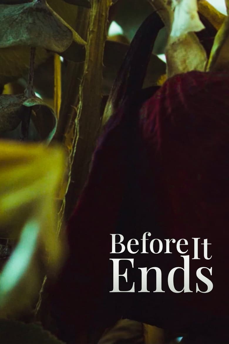 Poster of Before It Ends