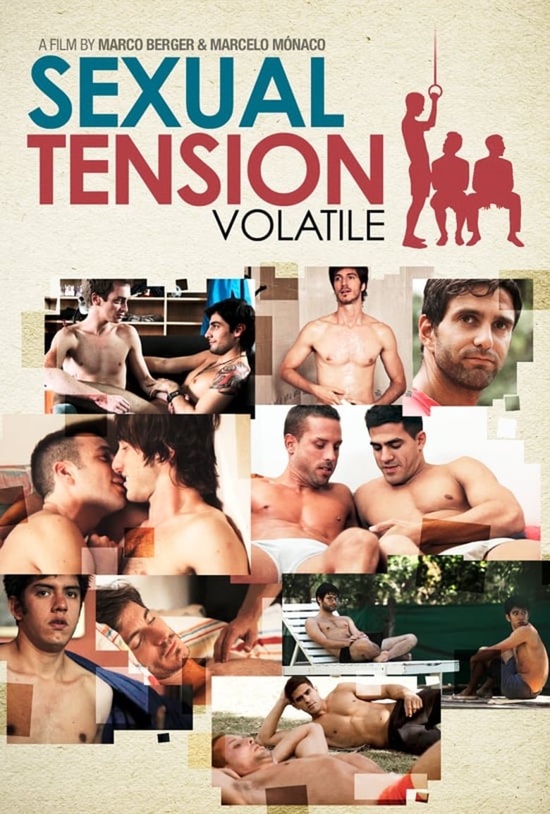 Poster of Sexual Tension: Volatile