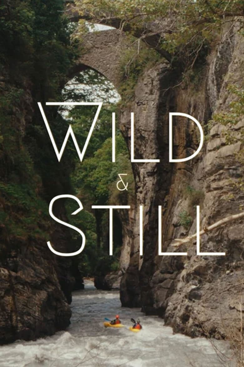 Poster of Wild & Still