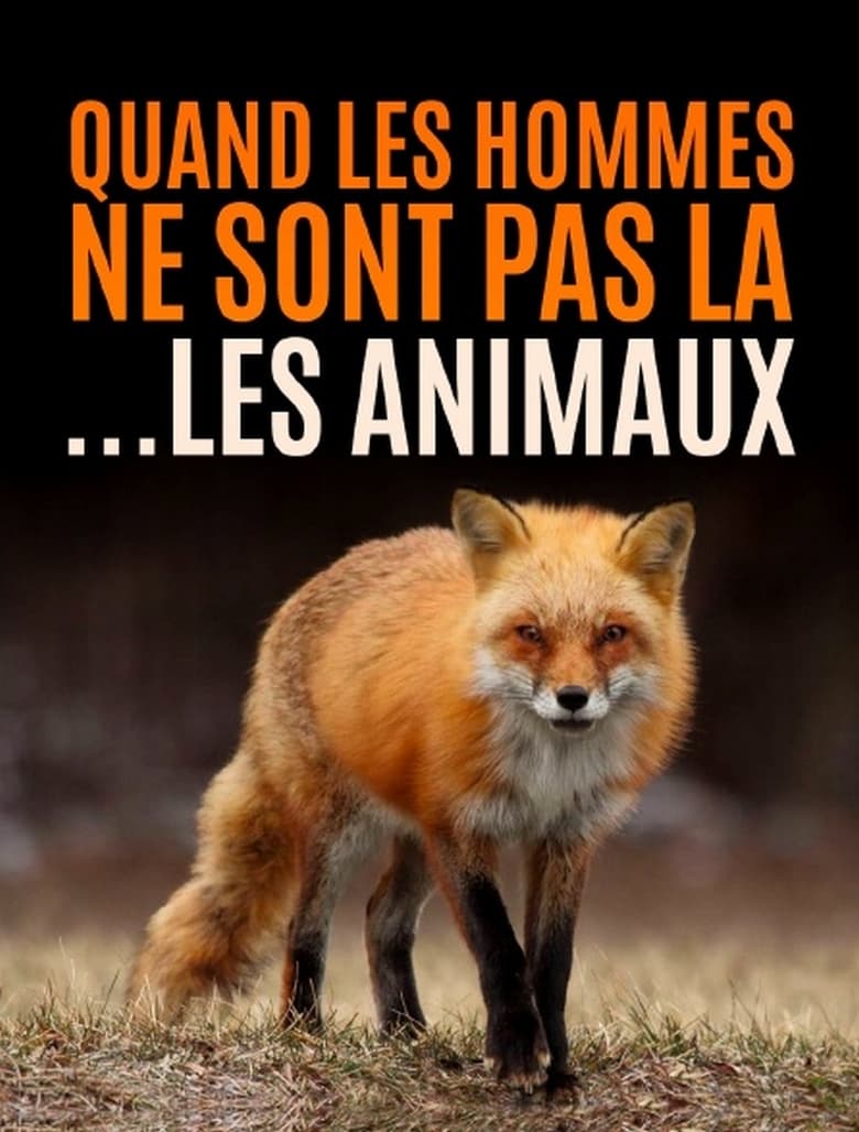 Poster of Quand l’homme n’est pas là... les animaux dansent !