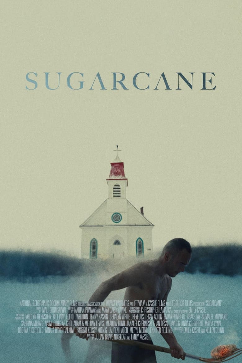 Poster of Sugarcane