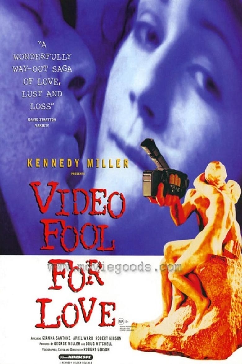 Poster of Video Fool for Love