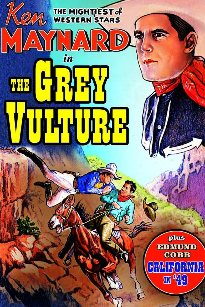 Poster of The Grey Vulture