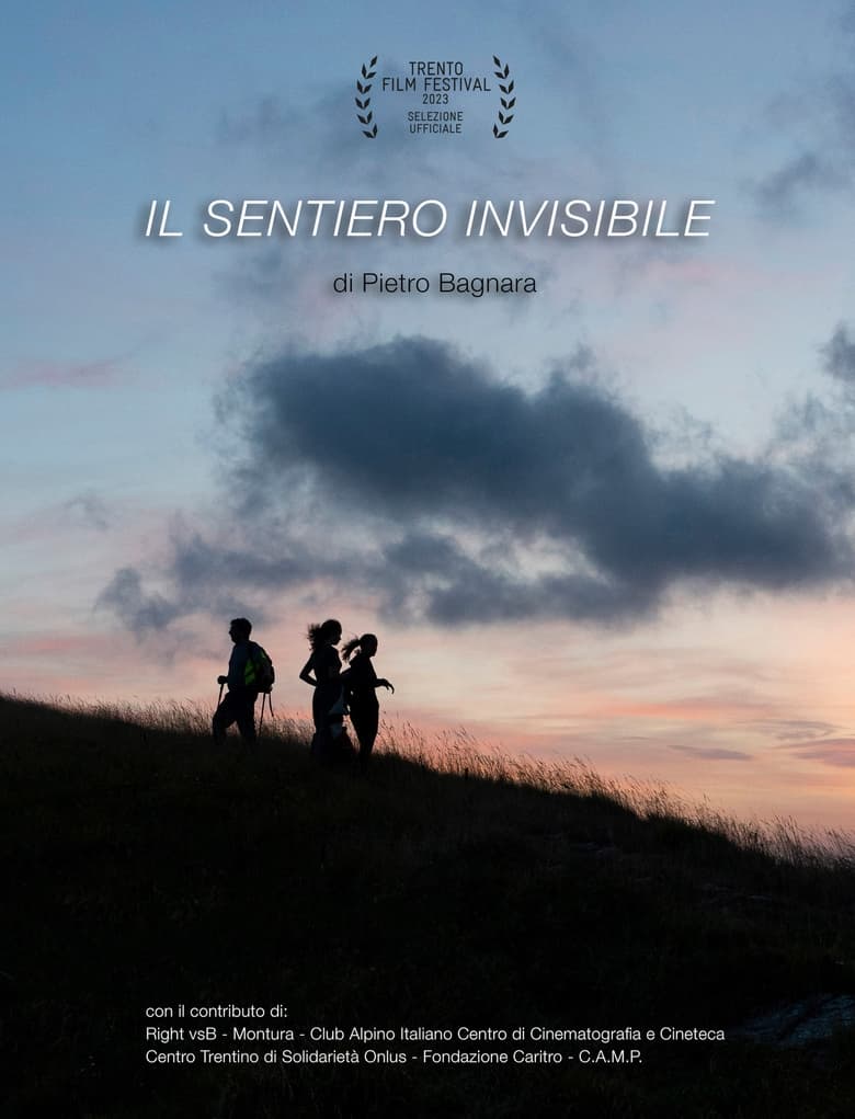 Poster of The Invisible Path