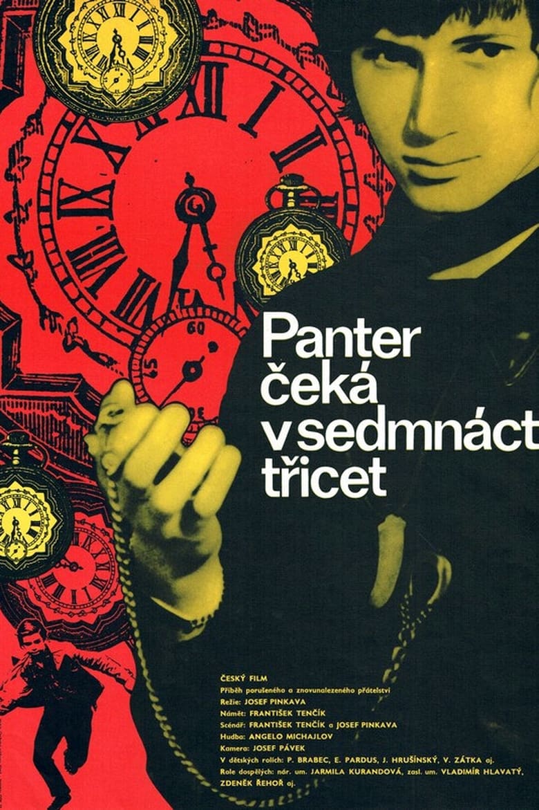 Poster of Panter čeká v 17,30