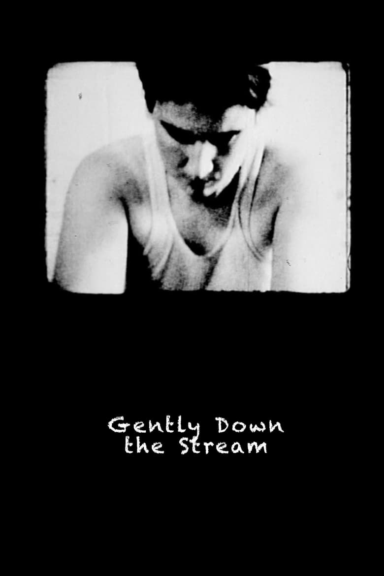 Poster of Gently Down the Stream