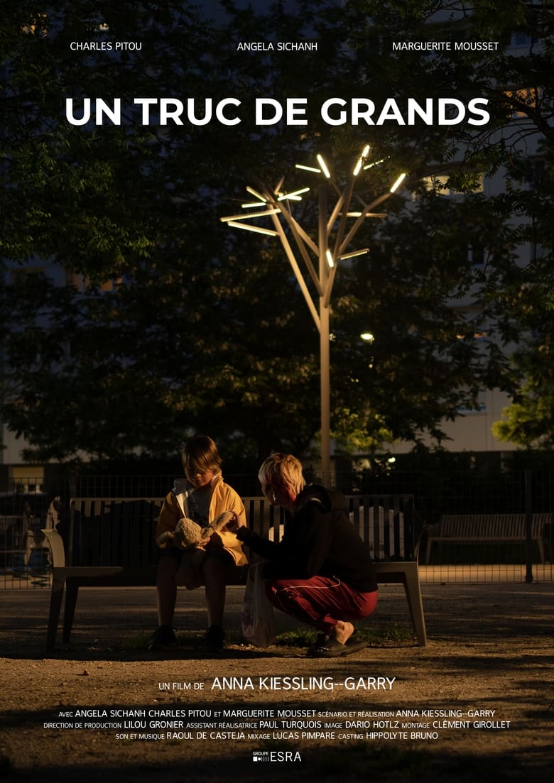 Poster of Un truc de grands