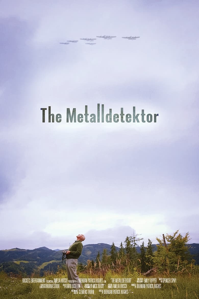 Poster of The Metal Detector