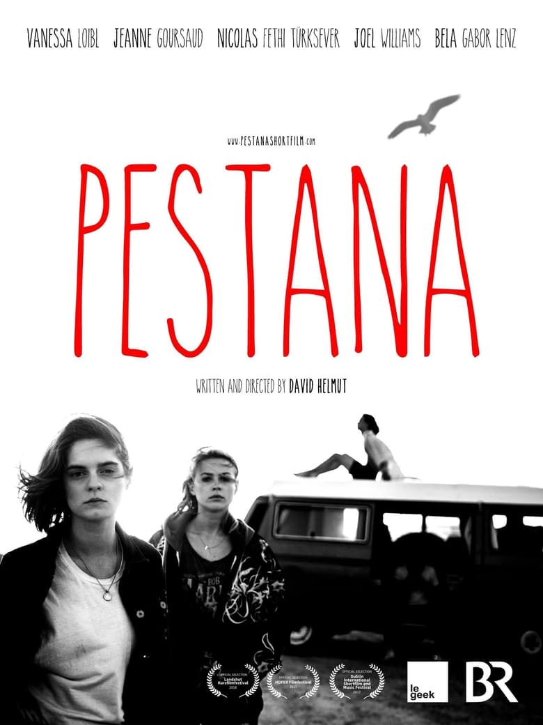 Poster of Pestana